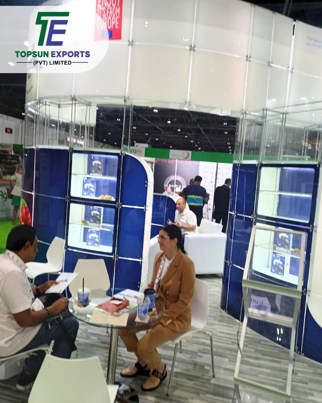 Topsun Export (22)