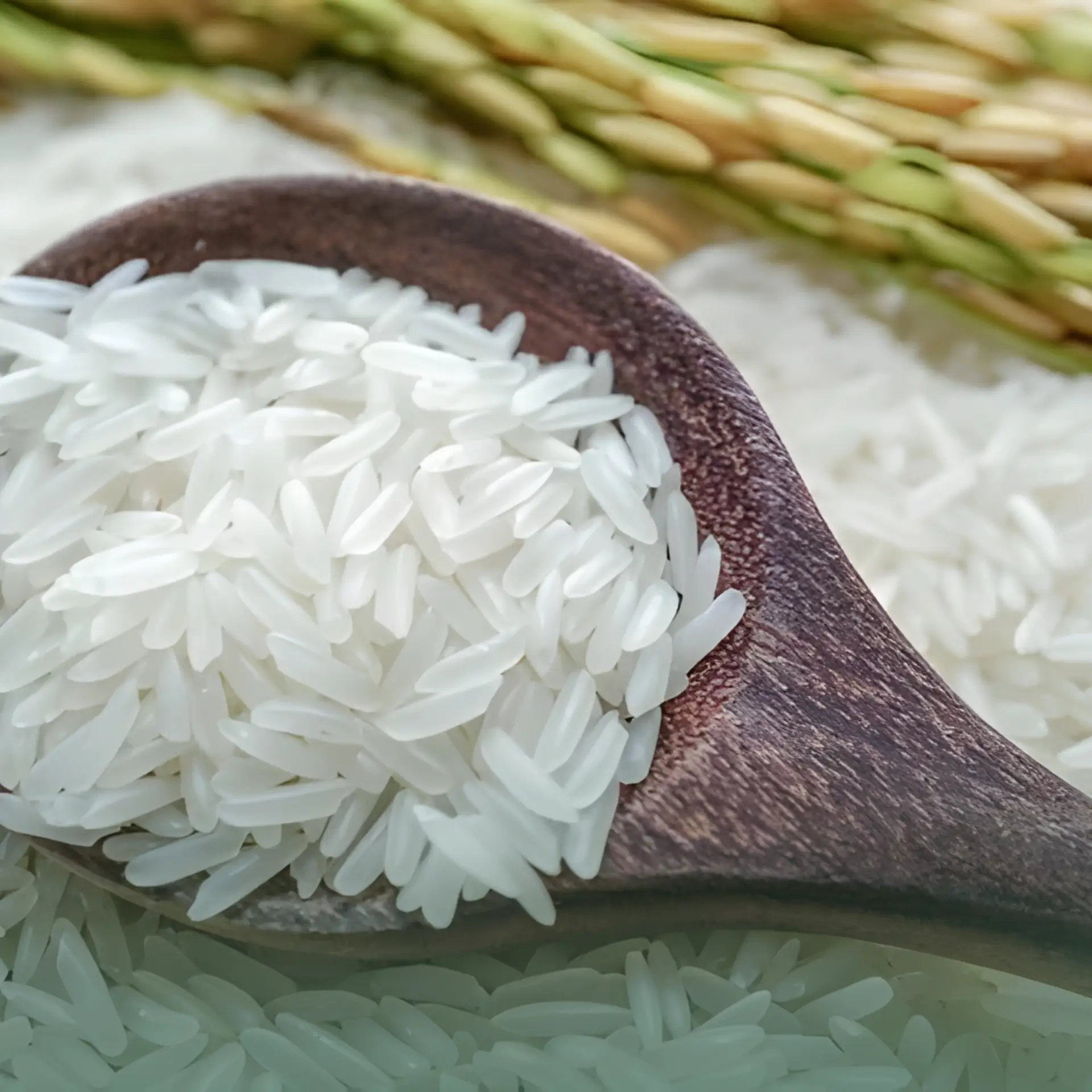 Topsun 1121 Rice