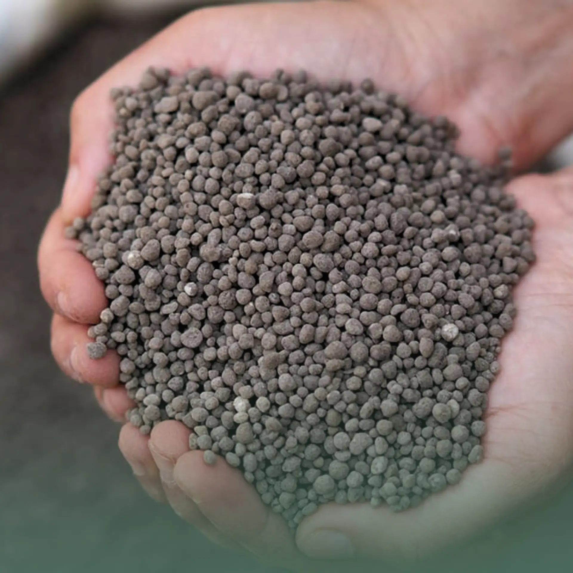 Topsun Rock Phosphate
