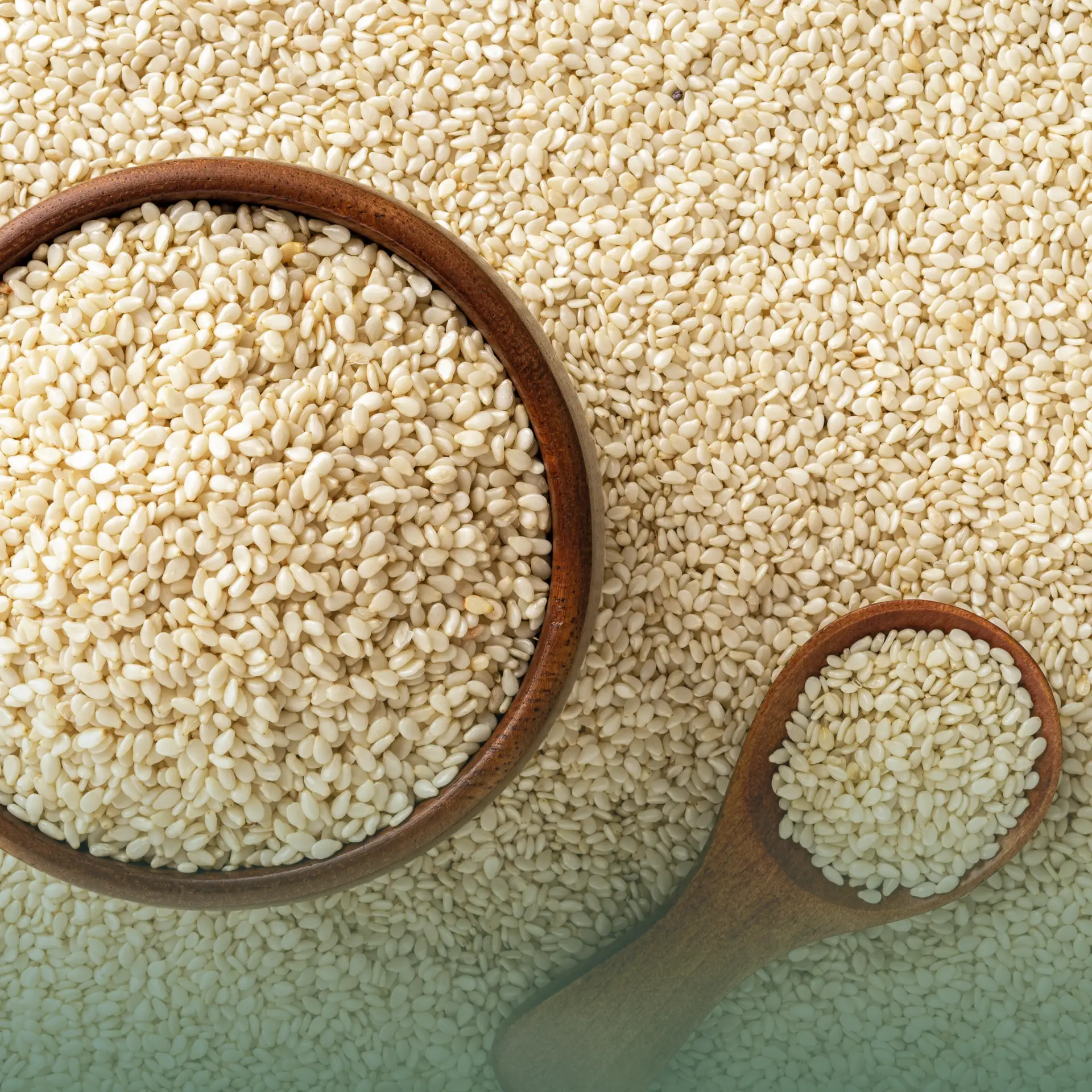 Topsun Sesame Seeds